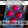 Léopard Miracle Des Effets Secondaires Du Miel 13